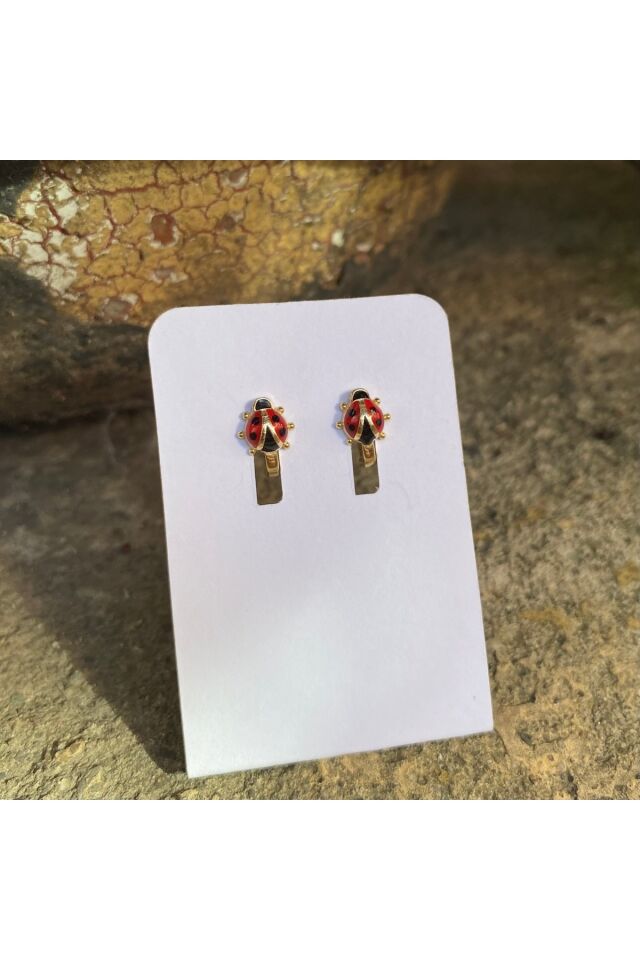 Uğur böceği altın küpe