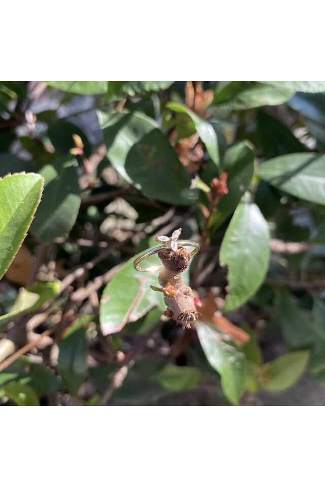 Altın minimal yüzük