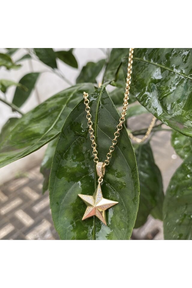Yıldız Altın Kolye