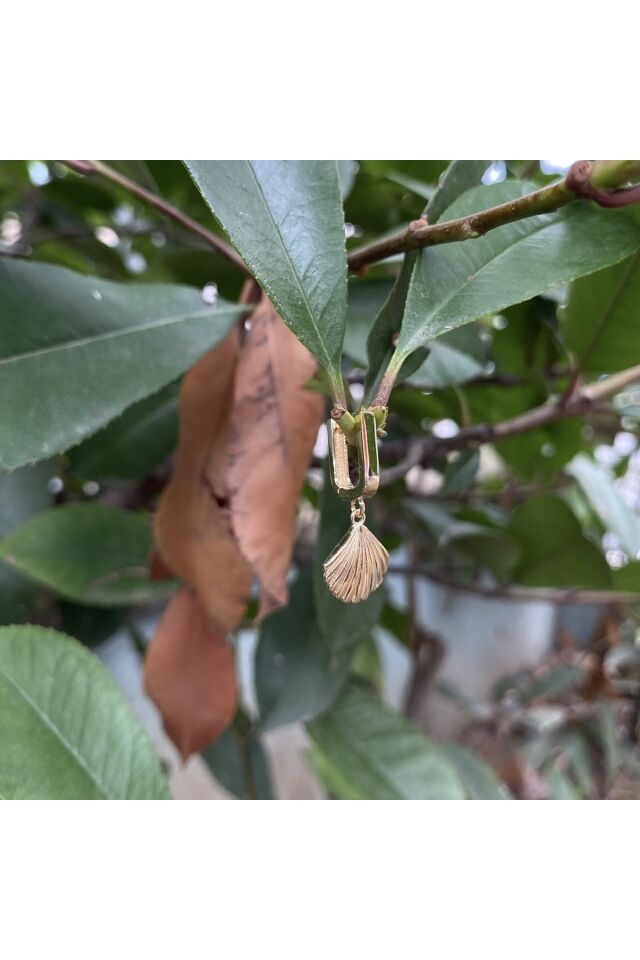 İstiridye altın küpe