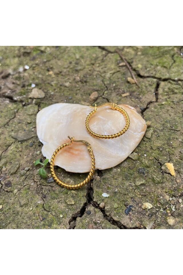 Altın burgu halka küpe