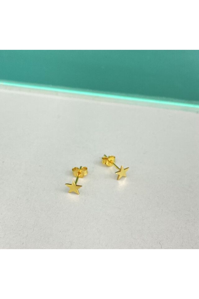 Mini Yıldız Küpe