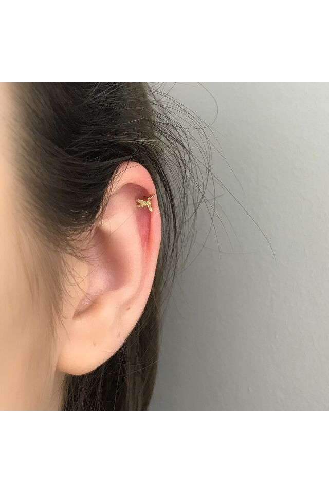 Tragus Küpe
